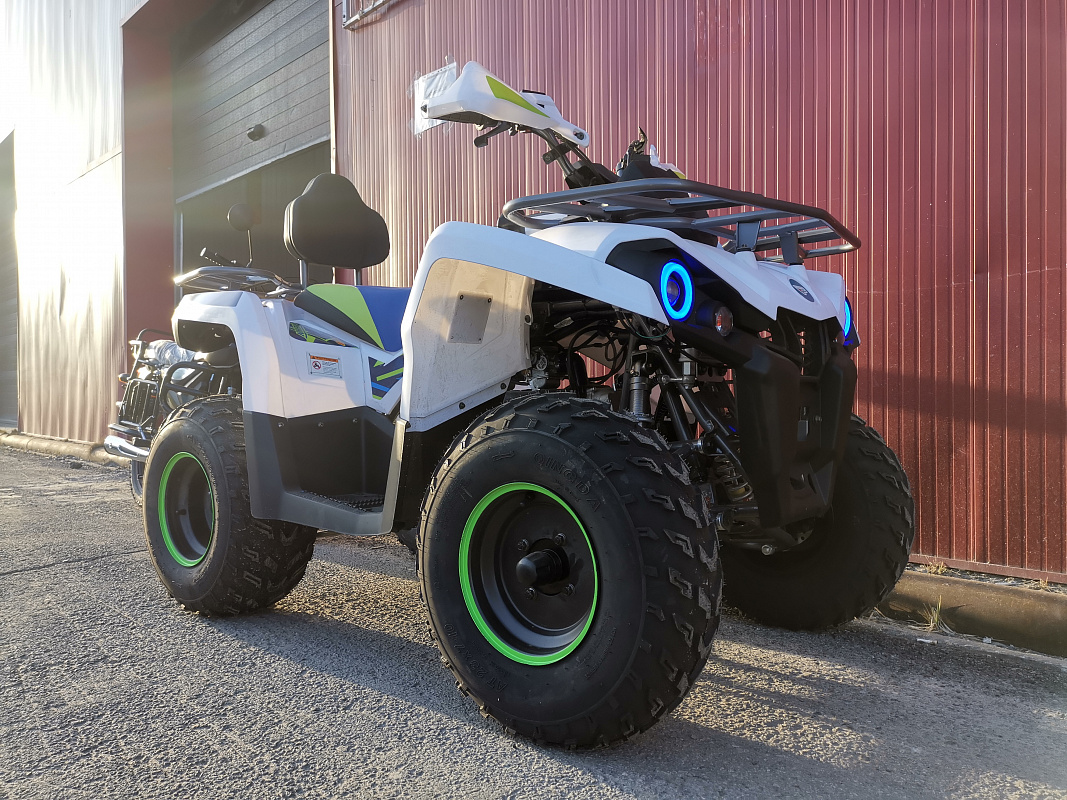 Квадроцикл PROMAX RENEGADE 280 LUX (2025) в Рыбинске