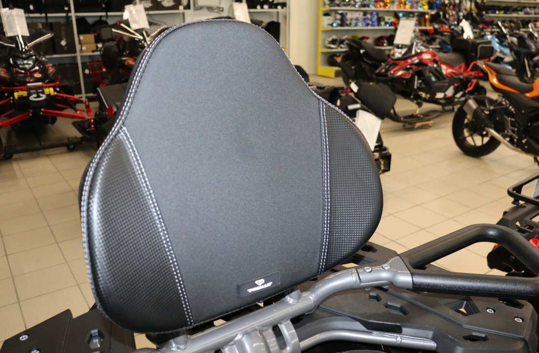 Квадроцикл PROMAX RENEGADE 300 LONG WINCH PRO (2025) в Рыбинске