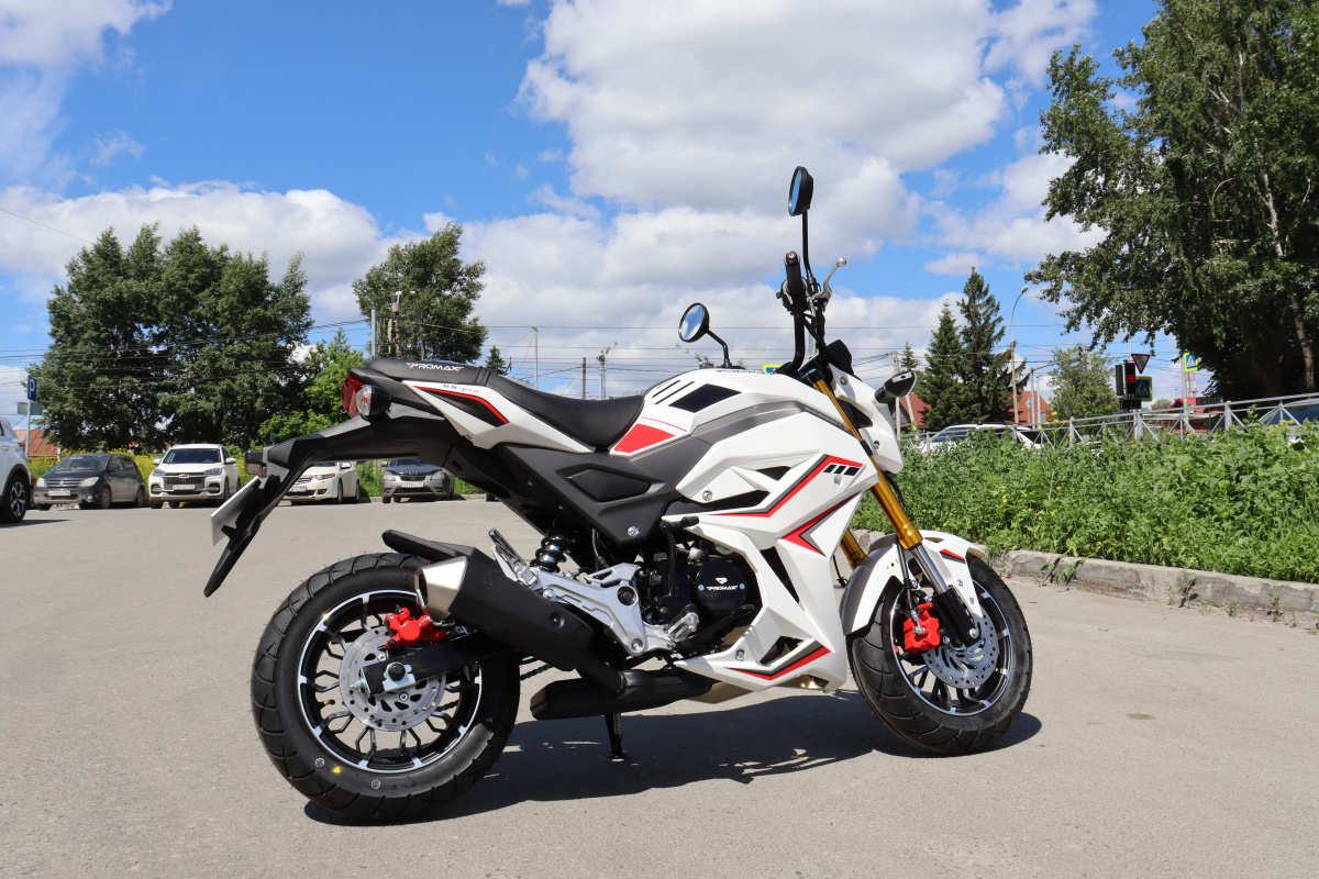 Мотоцикл PROMAX STRYKER 200(49) 2.0 в Рыбинске