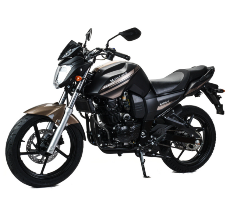 Мотоцикл MOTOLAND (МОТОЛЕНД) 300 BANDIT в Рыбинске