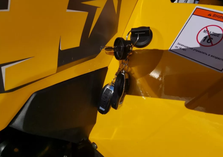 Квадроцикл MOTOLAND (МОТОЛЕНД) VOX200 WILD TRACK X PRO (баланс. вал) в Рыбинске