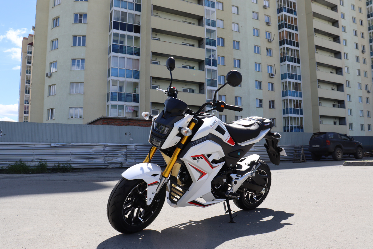 Мотоцикл PROMAX STRYKER 200(49) 2.0 в Рыбинске