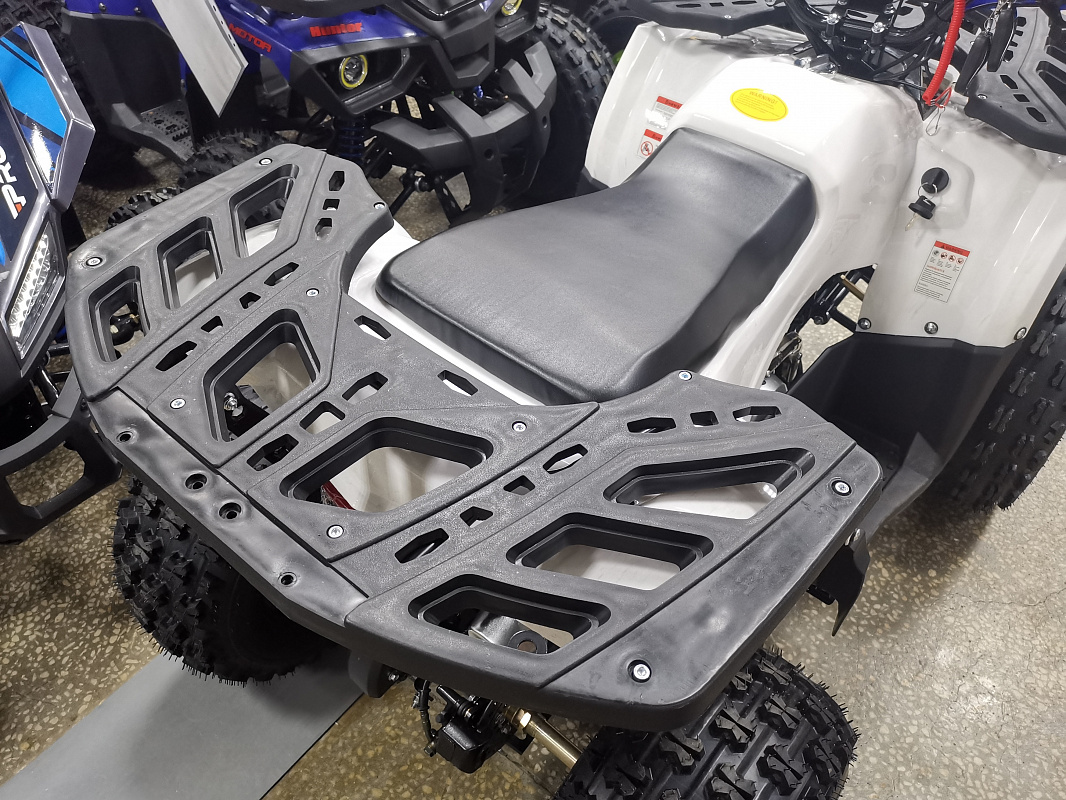 Квадроцикл PROMAX WILD 175 LUX в Рыбинске