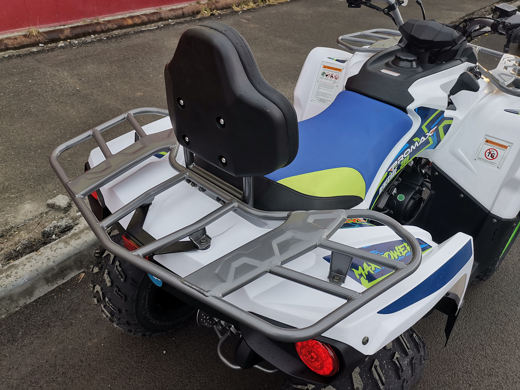 Квадроцикл PROMAX RENEGADE 280 LUX (2025) в Рыбинске