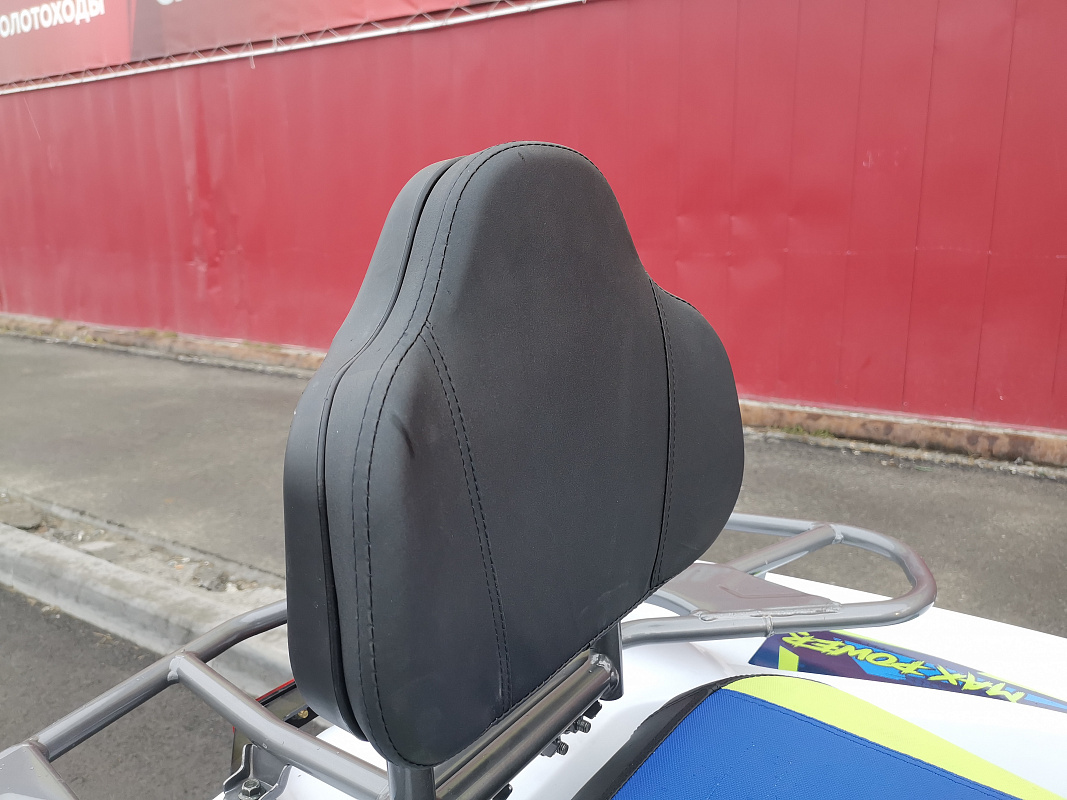 Квадроцикл PROMAX RENEGADE 280 LUX (2025) в Рыбинске