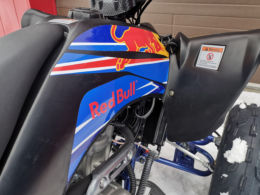 Квадроцикл PROMAX RAPTOR 300 NEW RedBull в Рыбинске