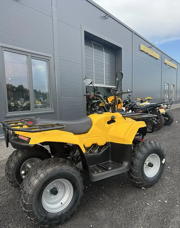 КВАДРОЦИКЛ IRBIS ATV 250  в Рыбинске