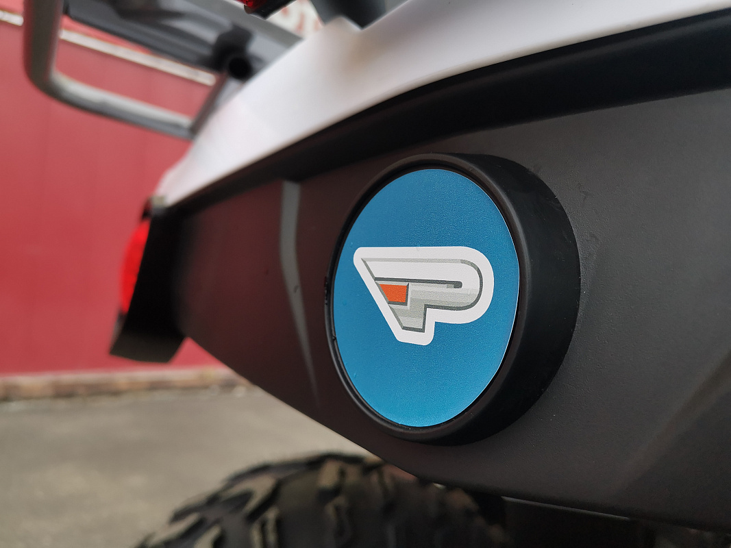 Квадроцикл PROMAX RENEGADE 280 LUX (2025) в Рыбинске