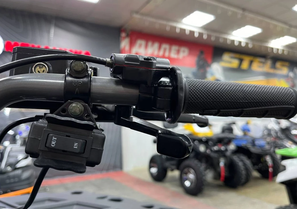 Квадроцикл PROMAX RENEGADE 300 LONG WINCH PRO (2025) в Рыбинске