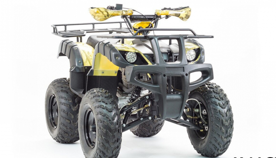 Квадроцикл MOTOLAND (МОТОЛЕНД) 250 ADVENTURE в Рыбинске