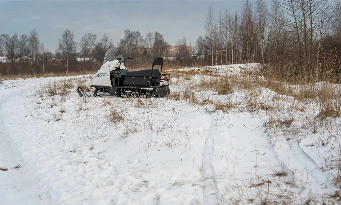 Снегоход БТС АРТИК 4Т /ЛОНГ/ 20 л.с. э/зап, реверс, тормоз в Рыбинске