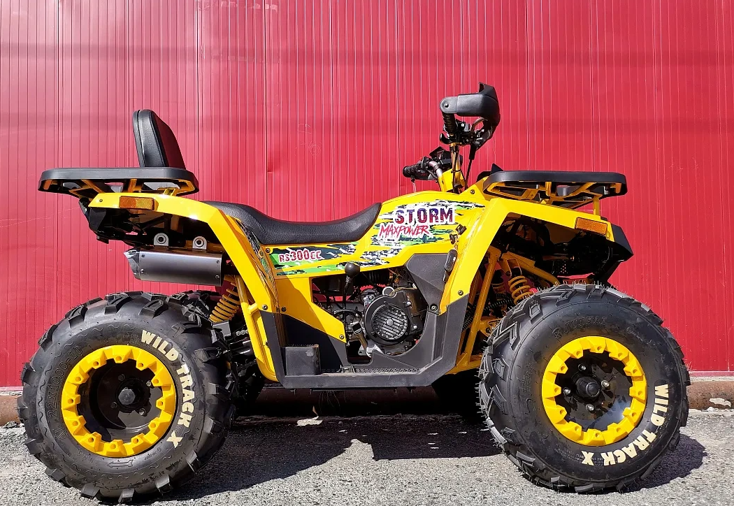 Квадроцикл PROMAX STORM 280 LUX в Рыбинске