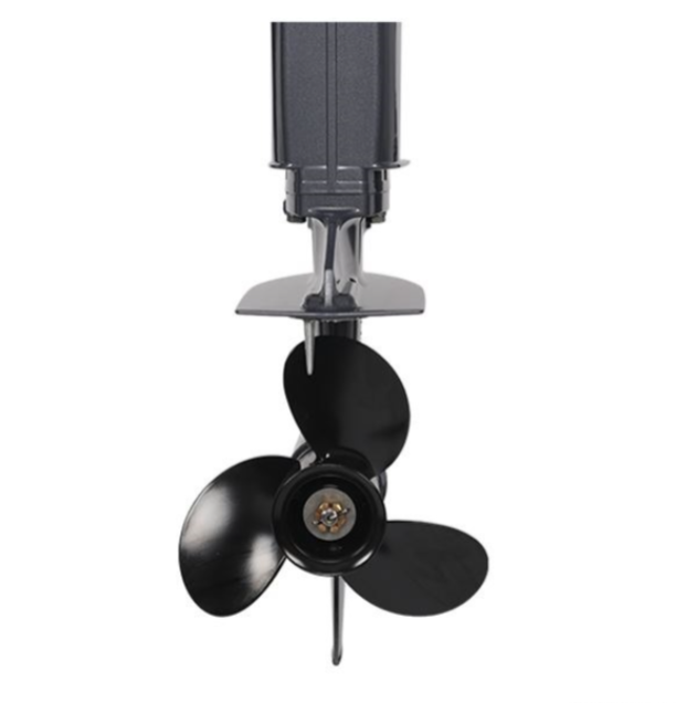 Лодочный мотор ALLFA CG Т40FW S в Рыбинске