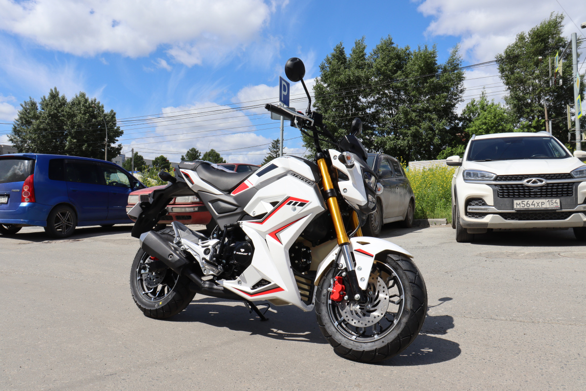 Мотоцикл PROMAX STRYKER 200(49) 2.0 в Рыбинске