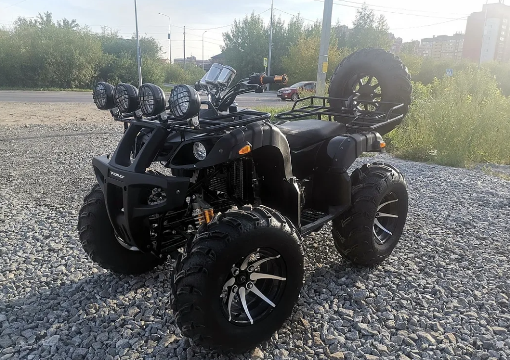 Квадроцикл PROMAX LEO 300 Max (кардан) в Рыбинске