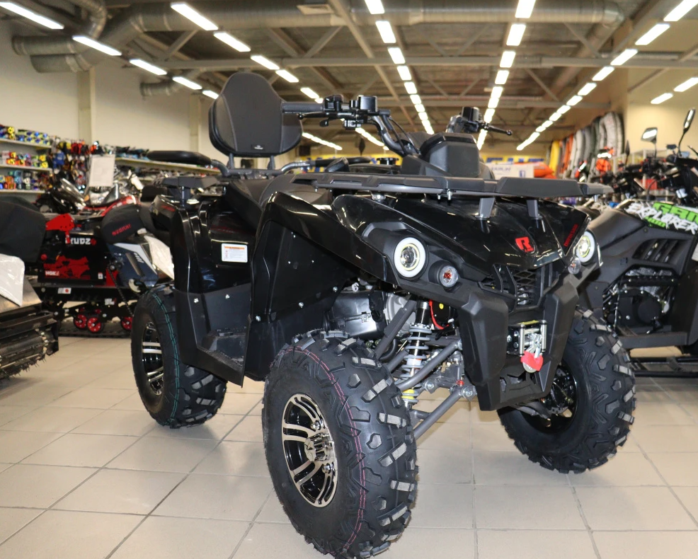 Квадроцикл PROMAX RENEGADE 300 LONG WINCH PRO (2025) в Рыбинске