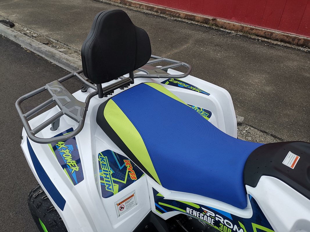 Квадроцикл PROMAX RENEGADE 280 LUX (2025) в Рыбинске
