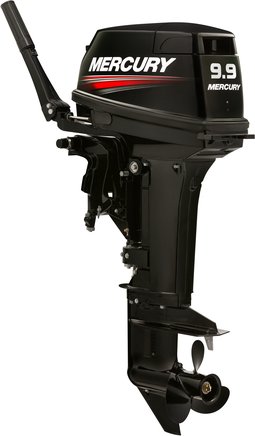ЛОДОЧНЫЙ МОТОР MERCURY 9.9 MH TMC 247 CC в Рыбинске