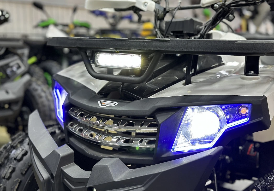 Квадроцикл PROMAX WILD 2.0 190 в Рыбинске