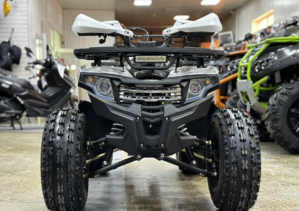 Квадроцикл PROMAX WILD 2.0 190 в Рыбинске