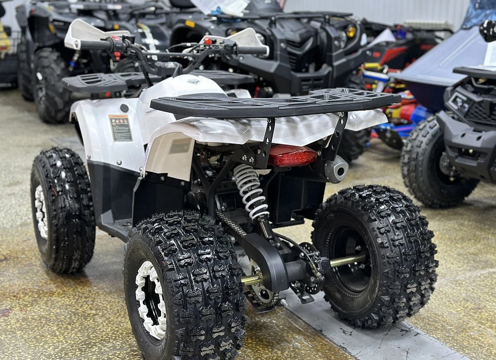 Квадроцикл PROMAX WILD 2.0 190 в Рыбинске