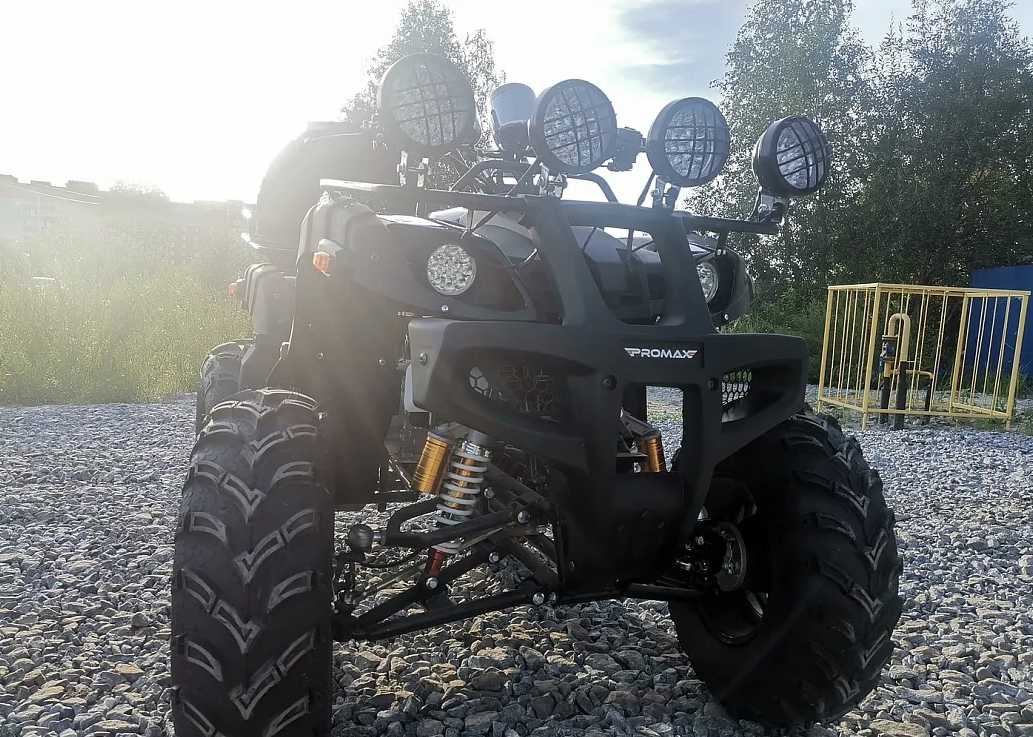 Квадроцикл PROMAX LEO 300 Max (кардан) в Рыбинске