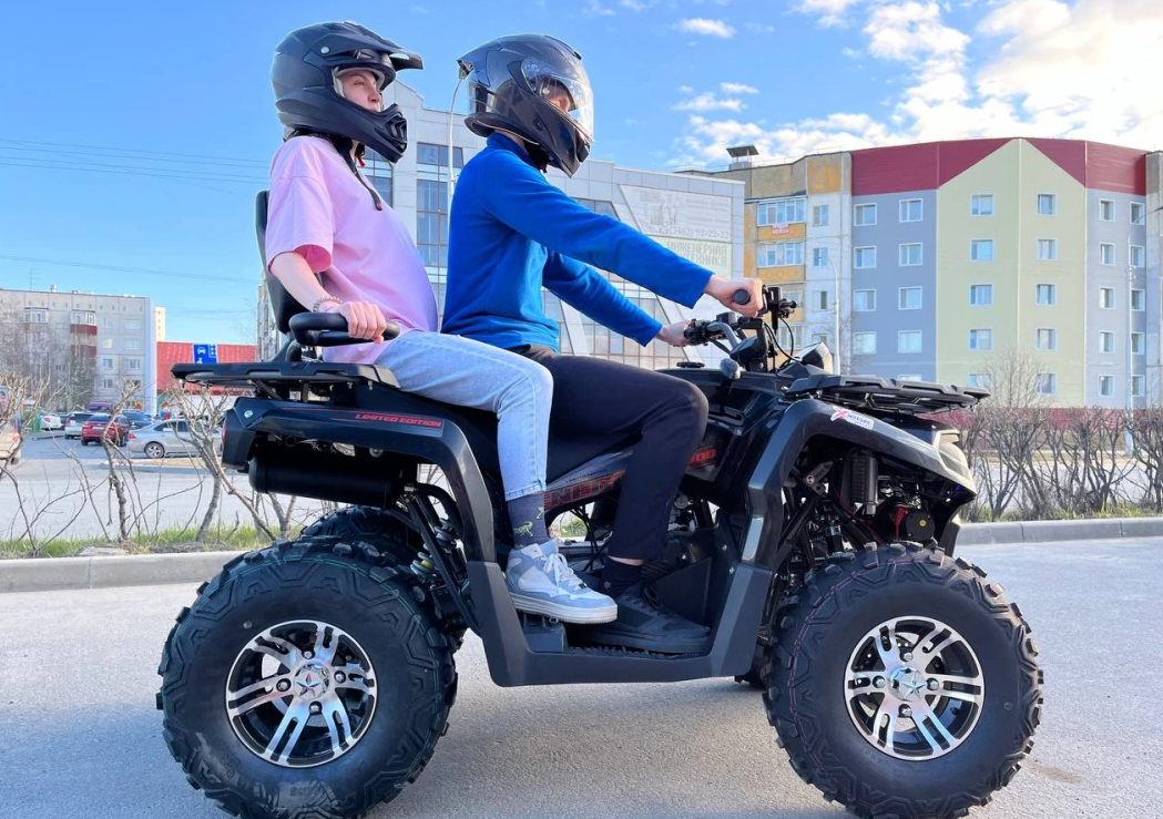 Квадроцикл PROMAX RENEGADE 300 LONG WINCH PRO (2025) в Рыбинске