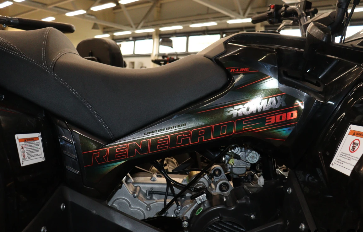 Квадроцикл PROMAX RENEGADE 300 LONG WINCH PRO (2025) в Рыбинске