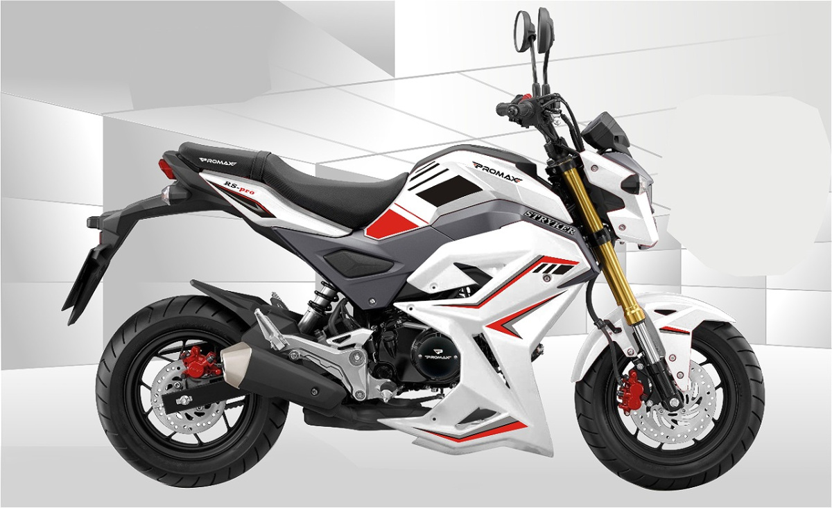 Мотоцикл PROMAX STRYKER 200(49) 2.0 в Рыбинске