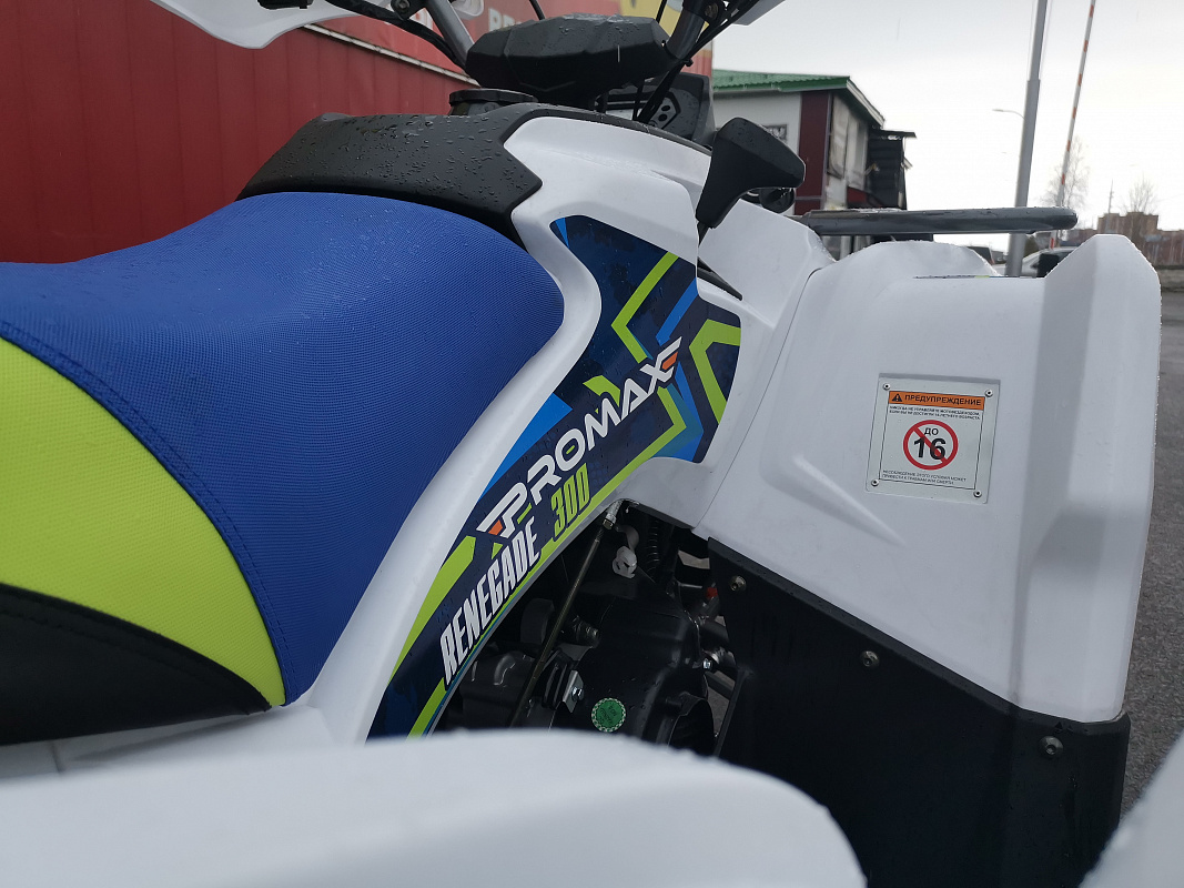 Квадроцикл PROMAX RENEGADE 280 LUX (2025) в Рыбинске