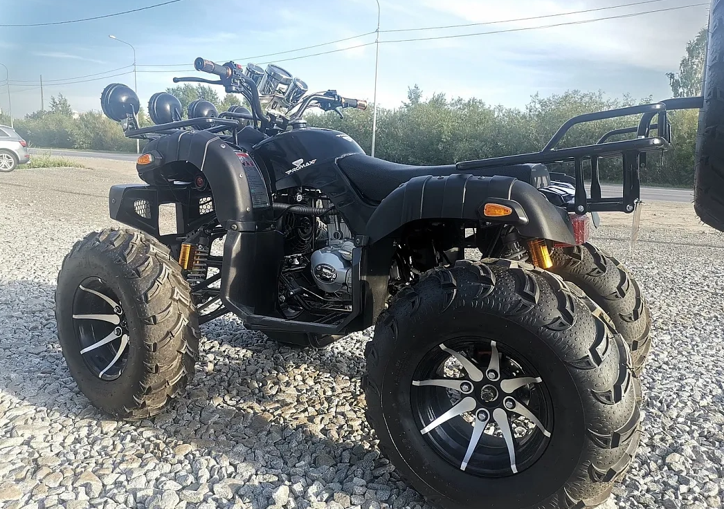 Квадроцикл PROMAX LEO 300 Max (кардан) в Рыбинске