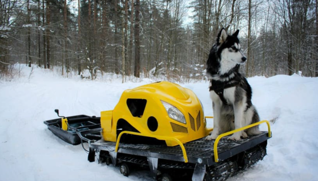 Мотобуксировщик LEBEDEV MOTORS ВОЛКОДАВ POWER V13 в Рыбинске
