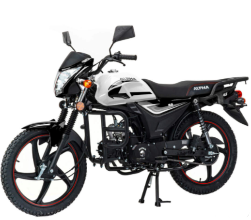 Мопед MOTOLAND (МОТОЛЕНД) Альфа RS 11 (LM48-B) в Рыбинске