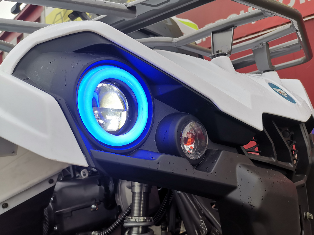 Квадроцикл PROMAX RENEGADE 280 LUX (2025) в Рыбинске