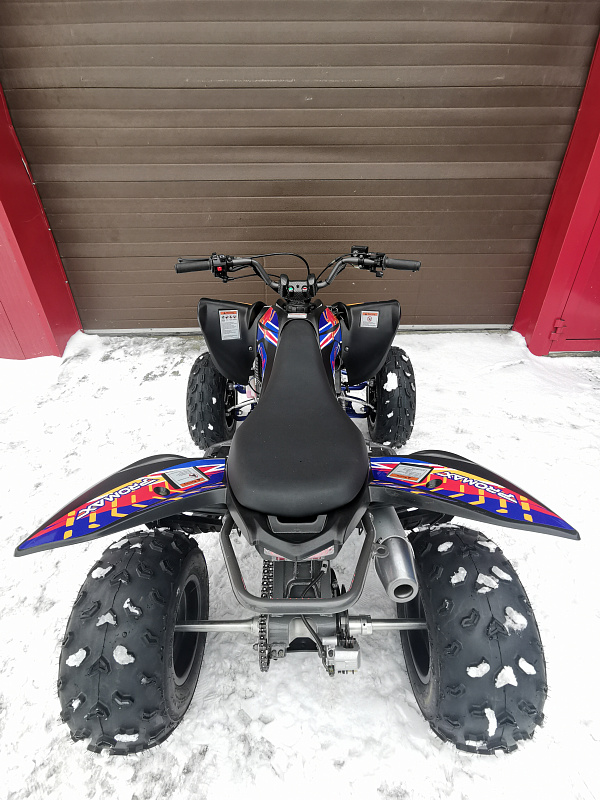 Квадроцикл PROMAX RAPTOR 300 NEW RedBull в Рыбинске