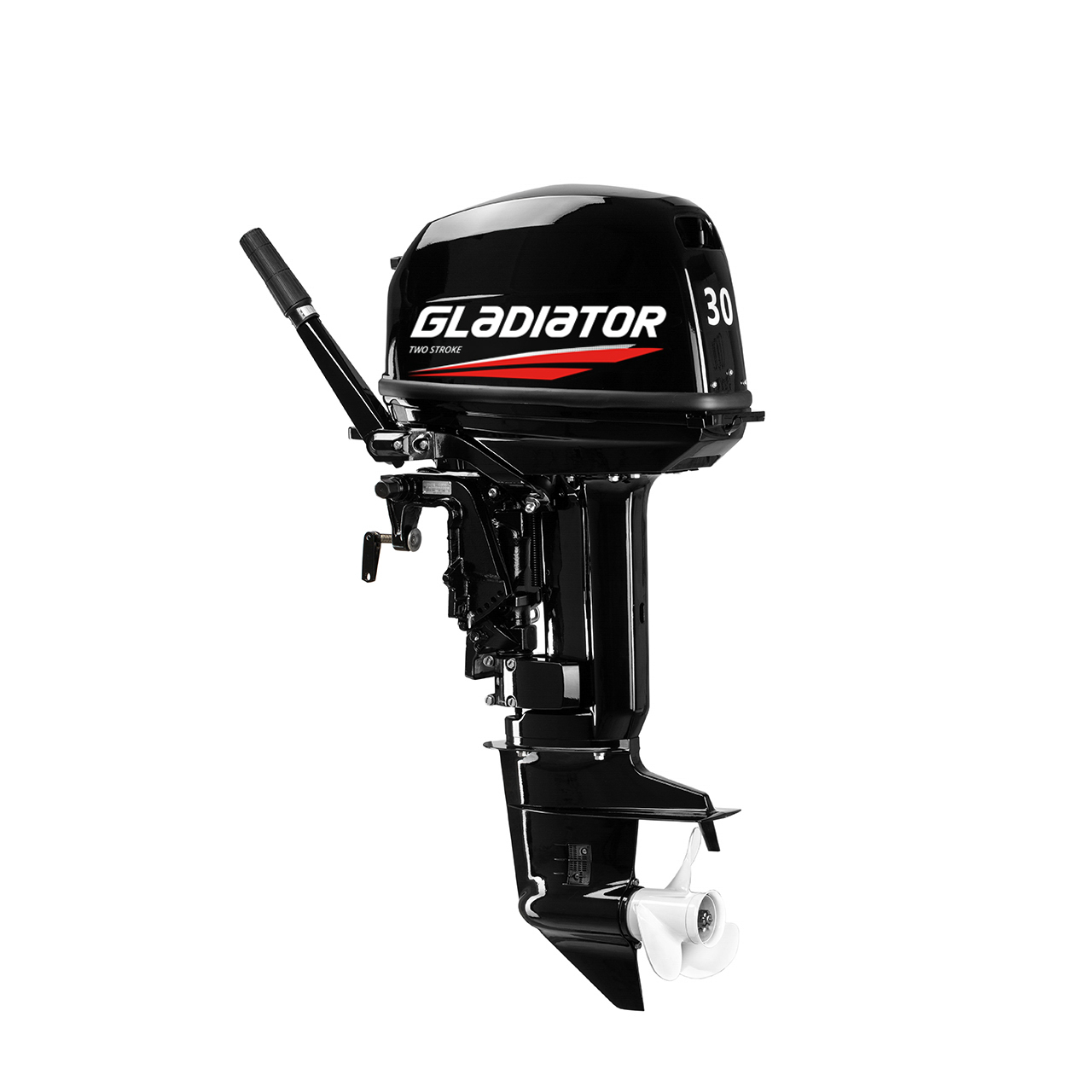 ЛОДОЧНЫЙ МОТОР GLADIATOR G30FHS в Рыбинске