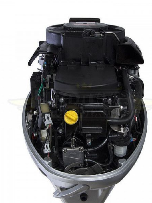 Лодочный мотор SEANOVO SNEF30FEL-EFI в Рыбинске