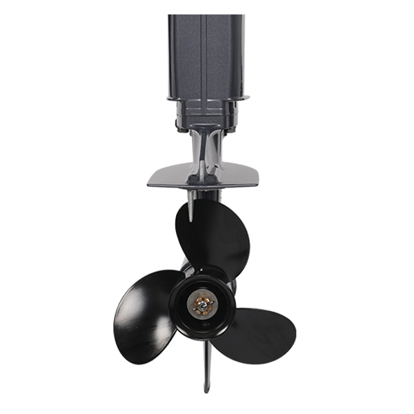 Лодочный мотор ALLFA CG T9.9(20) MAX Limit в Рыбинске