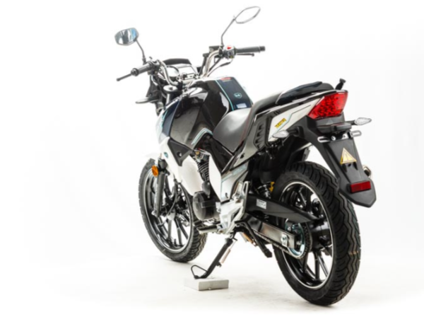 Мотоцикл MOTOLAND (МОТОЛЕНД) FIGHTER 250 в Рыбинске