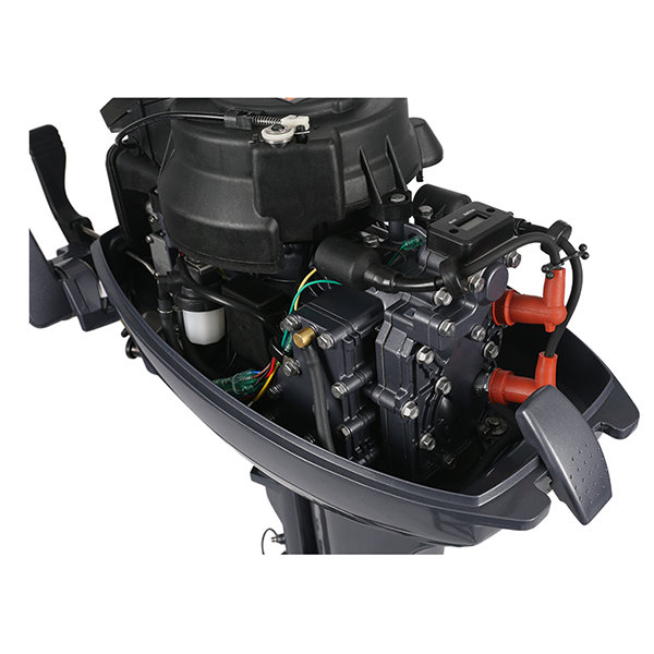 ЛОДОЧНЫЙ МОТОР ALLFA CG Т9,9 Limit в Рыбинске