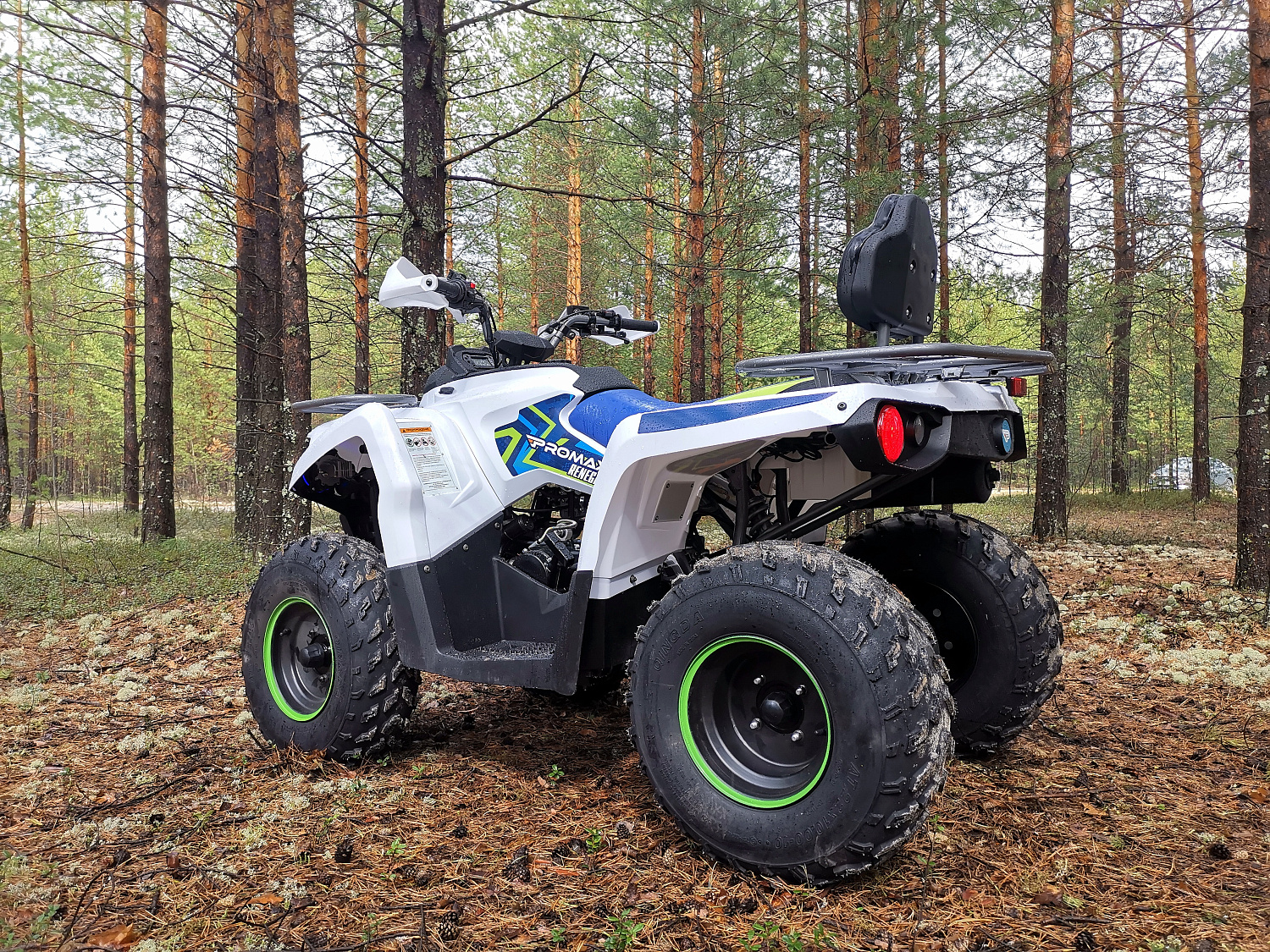 Квадроцикл PROMAX RENEGADE 280 (2025) в Рыбинске