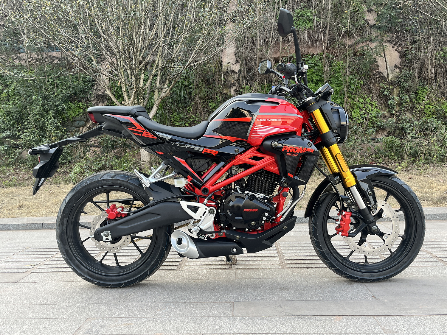 Мотоцикл PROMAX CB300 в Рыбинске