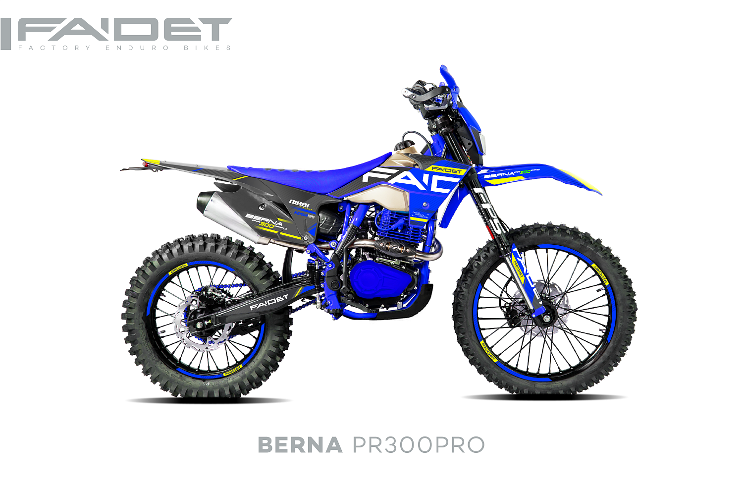 Кроссовый мотоцикл FAIDET BERNA PR300-PRO FPS в Рыбинске