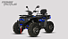 Квадроцикл PROMAX TAURUS 300 MAX-PRO LONG в Рыбинске