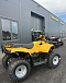 КВАДРОЦИКЛ IRBIS ATV 250  в Рыбинске