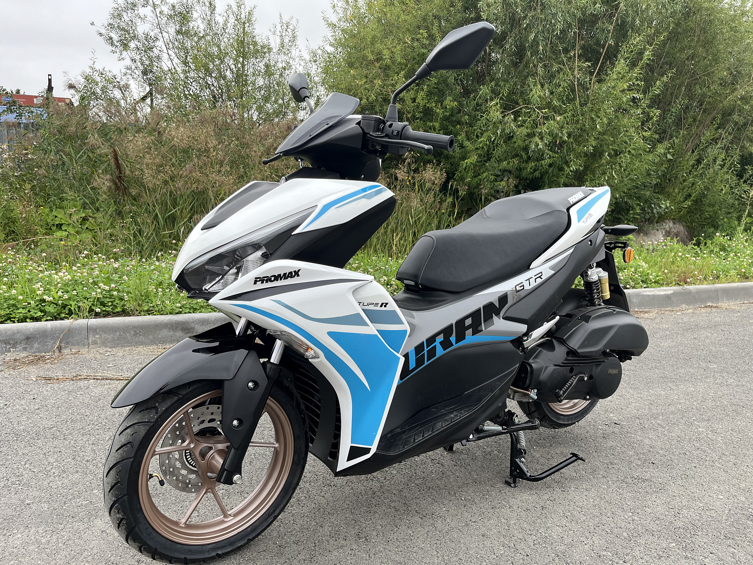 Скутер PROMAX TURAN 250 (49) в Рыбинске