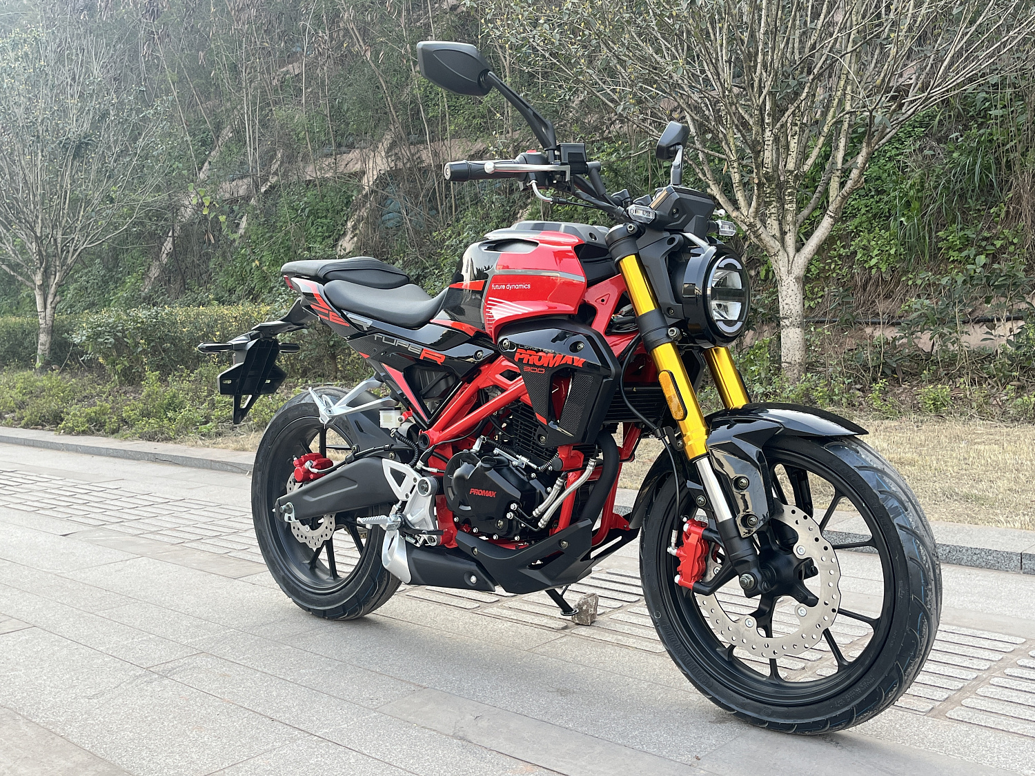 Мотоцикл PROMAX CB300 в Рыбинске