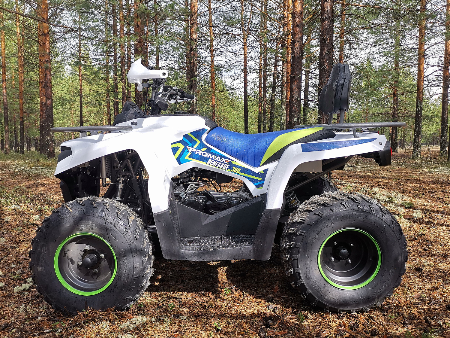 Квадроцикл PROMAX RENEGADE 280 (2025) в Рыбинске