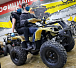 Квадроцикл PROMAX ATV 250 (2025) в Рыбинске