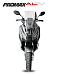 МаксиСкутер PROMAX-HONDA ADV 150 (49) (Inspired by HONDA) в Рыбинске